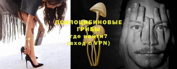 ГАЛЛЮЦИНОГЕННЫЕ ГРИБЫ Абдулино