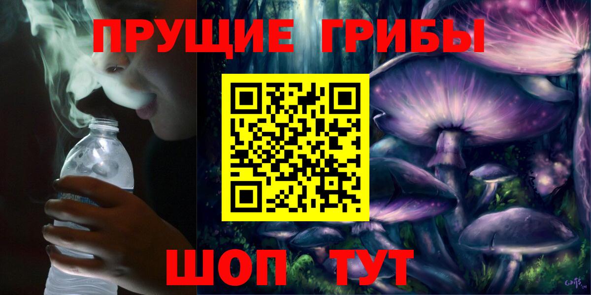 Новосибирск  Галлюциногенные грибы мухоморы  что такое наркотик  Вход с VPN 